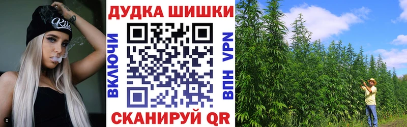 Шишки марихуана THC 21%  Купить где  Ковров 